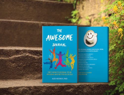Best Deal of The Awesome Journal: The 5 Minute Journal To Be Awesome And Better Each Day
